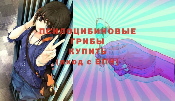 МДПВ Володарск