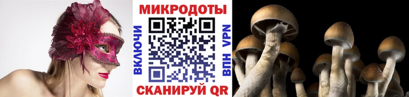 Галлюциногенные грибы MAGIC MUSHROOMS  Ермолино 